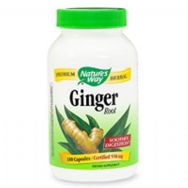 rhizome de gingembre - racine de gingembre - zinziber officinalis - ginger root - 550 mg